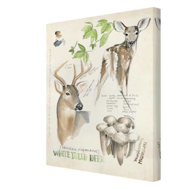 Cuadros marrón Wilderness Journal - Deer