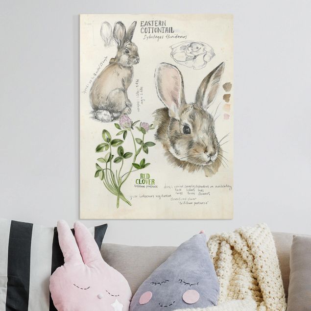 Lienzos de flores Wilderness Journal - Rabbit
