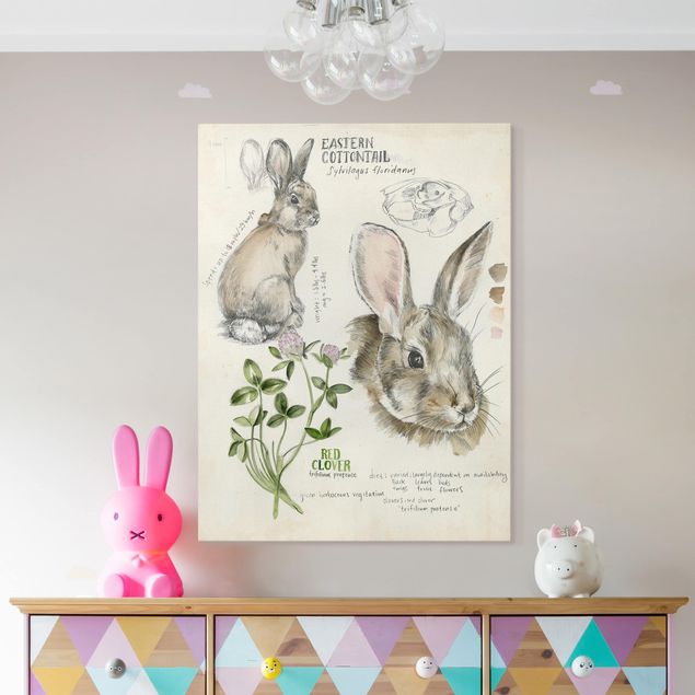 Decoración de cocinas Wilderness Journal - Rabbit