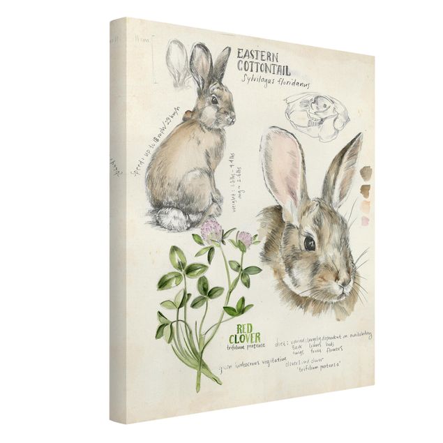Cuadros de flores Wilderness Journal - Rabbit