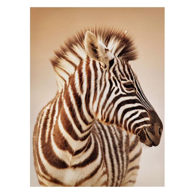 Lienzos de animales Zebra Baby Portrait