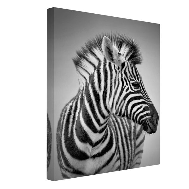 Lienzos en blanco y negro Zebra Baby Portrait II