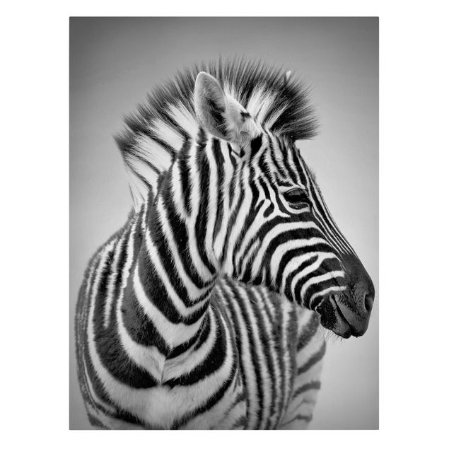 Lienzos animal Zebra Baby Portrait II