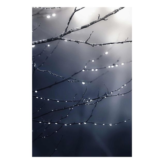 Cuadros paisajes naturaleza Drops Of Light On A Branch Of A Birch Tree