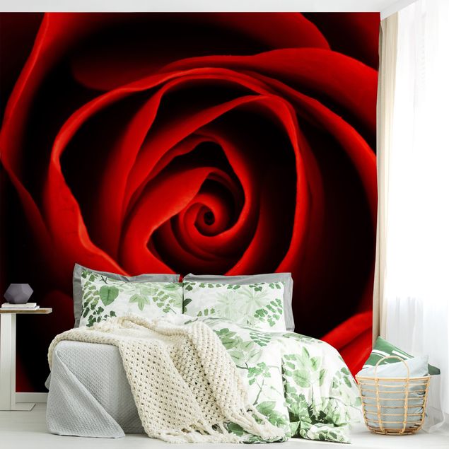 Papel pintado rosas Lovely Rose