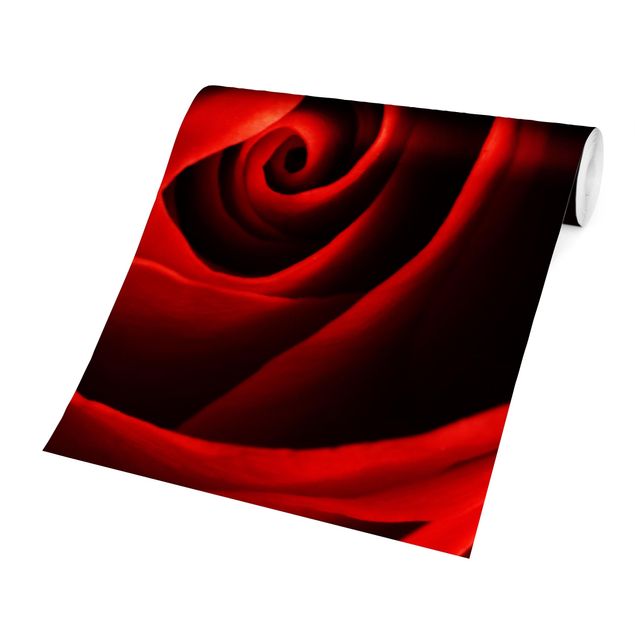 Papel pintado tonos rojos Lovely Rose