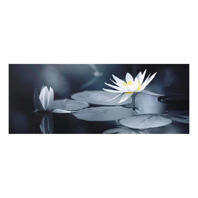 Cuadros de flores Lotus Reflection In The Water
