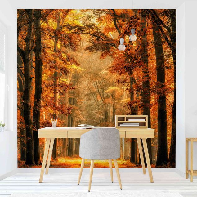 Papel pintado moderno Enchanted Forest In Autumn