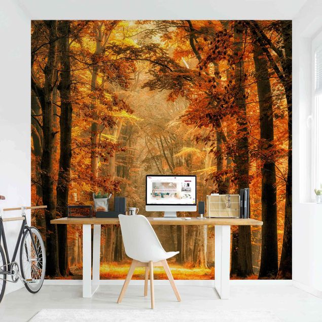 Papel pintado paisajes Enchanted Forest In Autumn