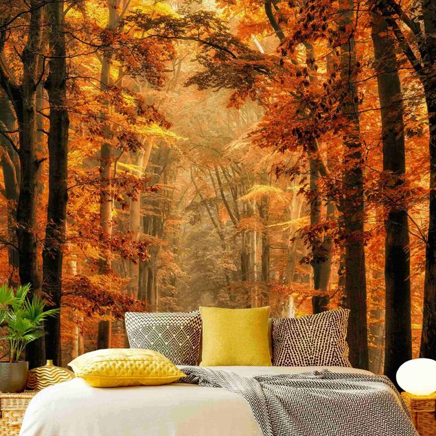 Papel pintado bosque Enchanted Forest In Autumn