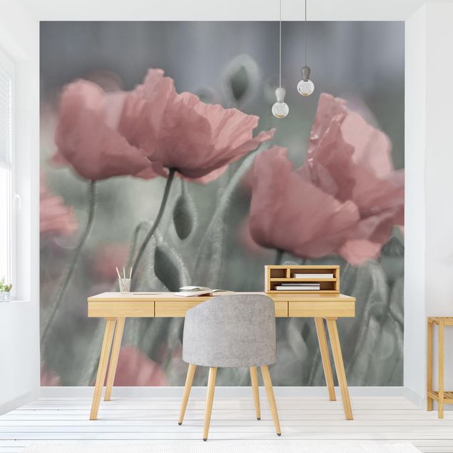 Papel pintado moderno Picturesque Poppy