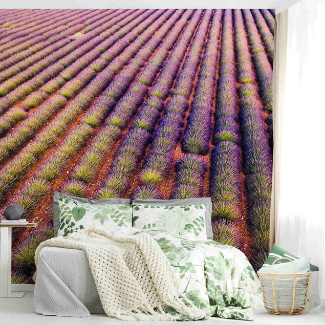 Papel pared flores Picturesque Lavender Field