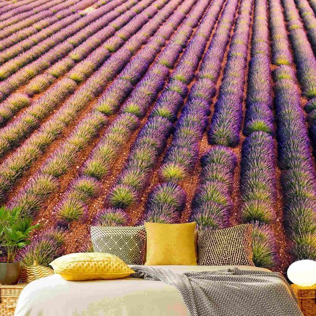 Papel pintado salón moderno Picturesque Lavender Field