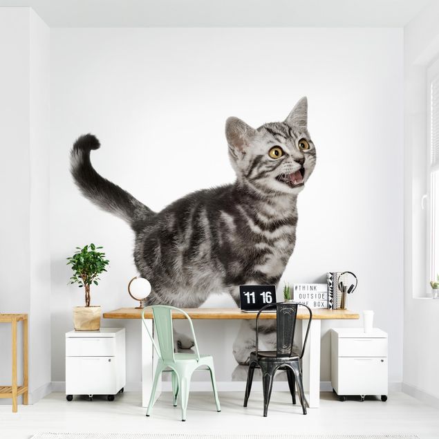 Papeles pintados modernos Kitty
