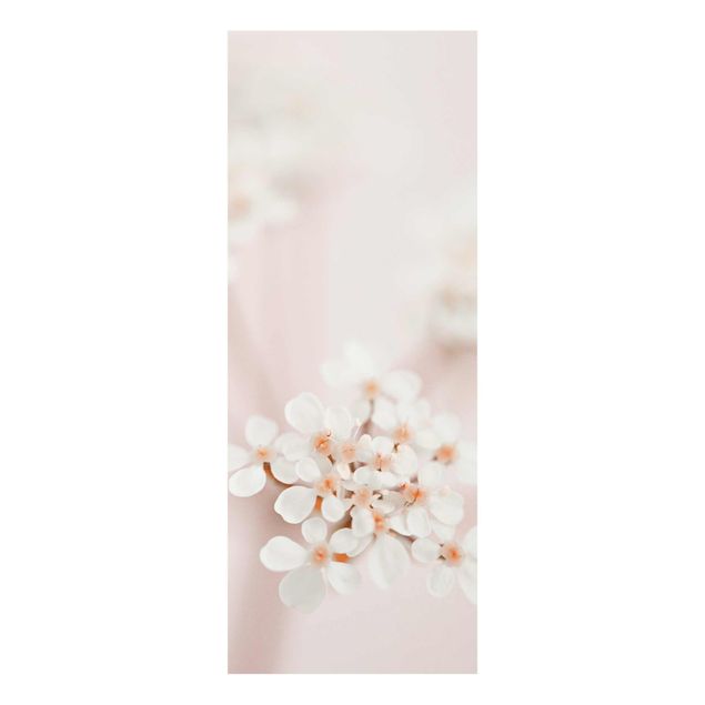 Cuadros de Monika Strigel Mini Flowers In Pink Light