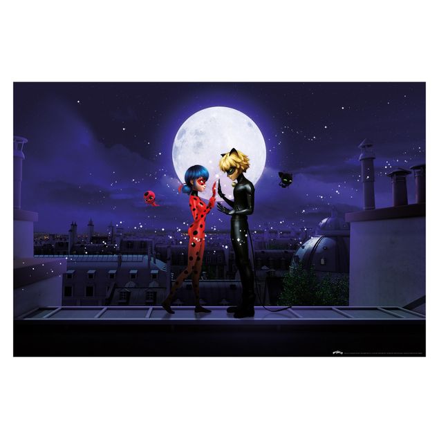 Papel de pared Miraculous Ladybug And Cat Noir In The Moonlight