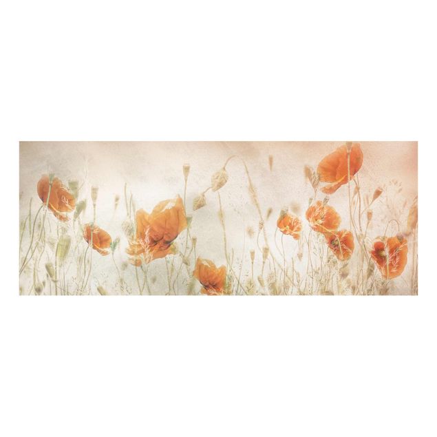 Cuadros de plantas Poppy Flowers And Grasses In A Field