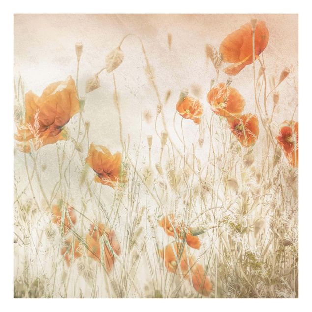 Cuadros de plantas Poppy Flowers And Grasses In A Field