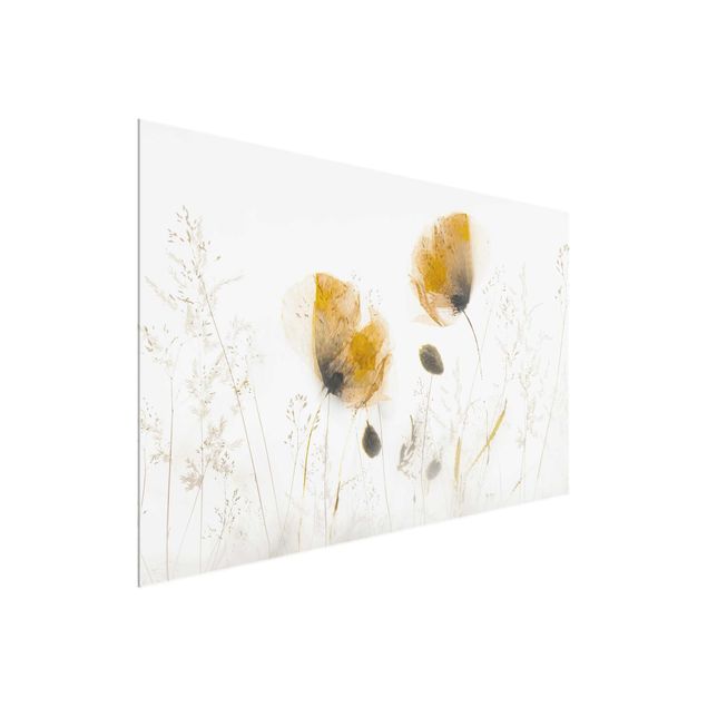 Cuadros de cristal flores Poppy Flowers And Delicate Grasses In Soft Fog
