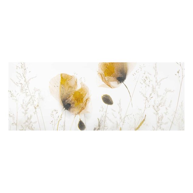 Cuadros de plantas Poppy Flowers And Delicate Grasses In Soft Fog