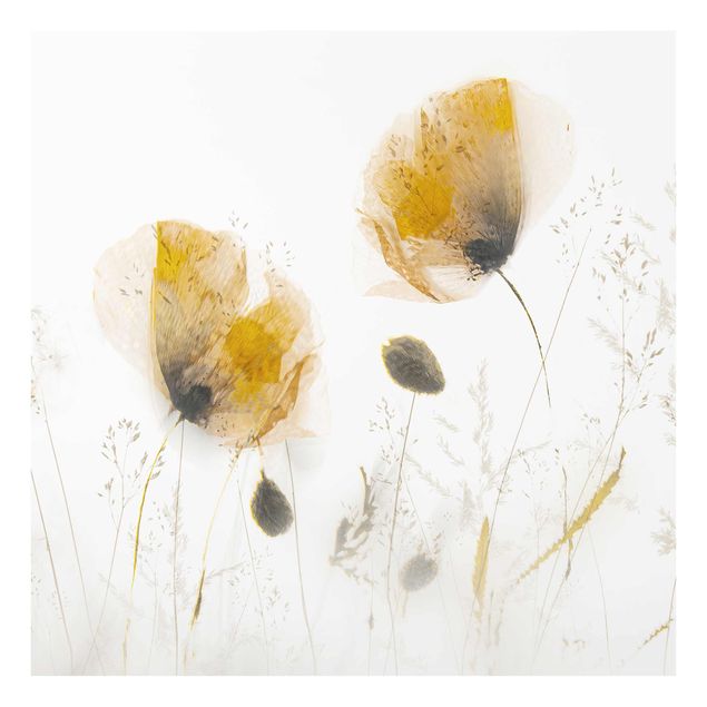 Cuadros de plantas naturales Poppy Flowers And Delicate Grasses In Soft Fog
