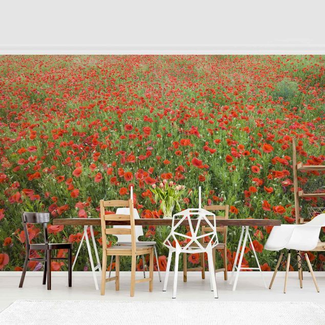 Papel pintado moderno Poppy Field