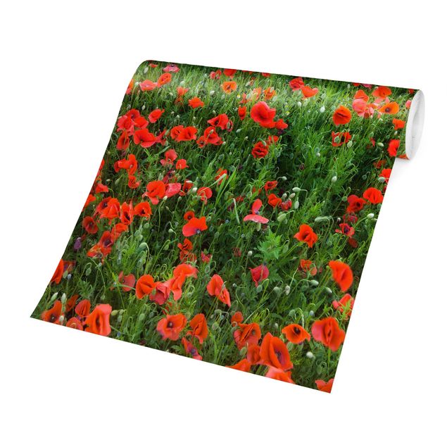 Papel pintado rojo Poppy Field