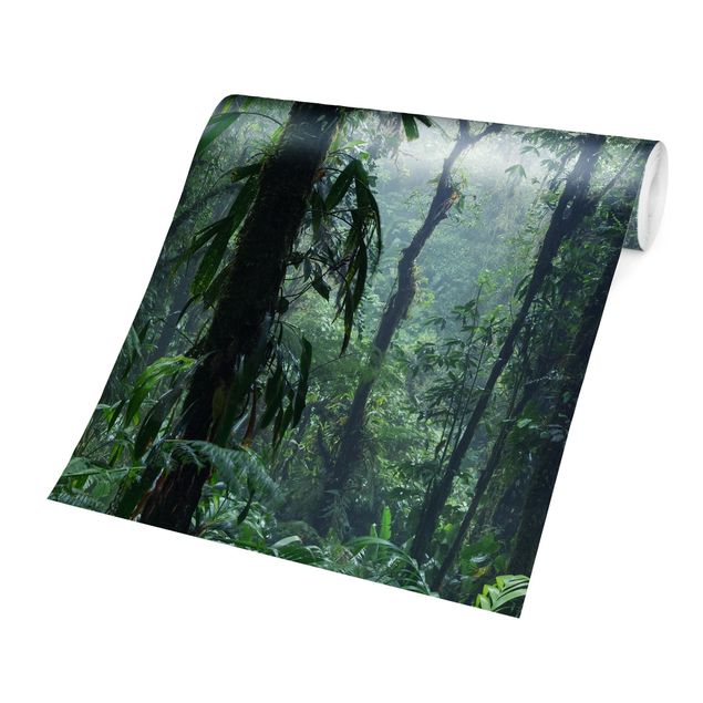 Papel pared verde Monteverde Cloud Forest