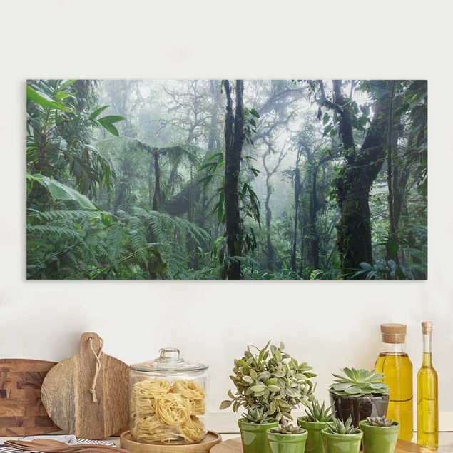 Cuadros árboles Monteverde Cloud Forest