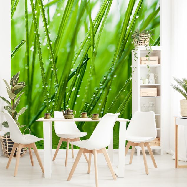 Papel pared flores Morning Dew