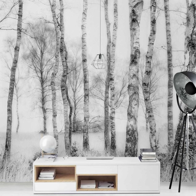 Papel pintado paisajes Mystic Birch Forest Black And White