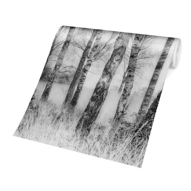 Papel pintado Mystic Birch Forest Black And White