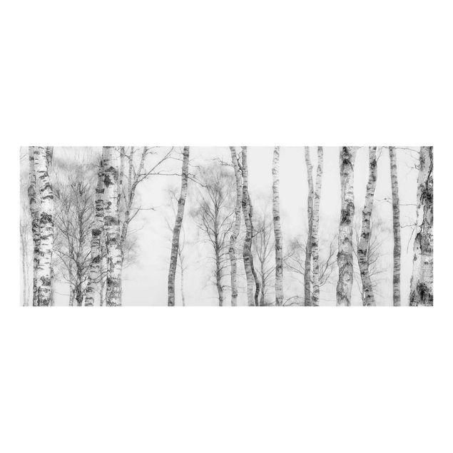 Cuadros de cristal paisajes Mystic Birch Forest Black And White