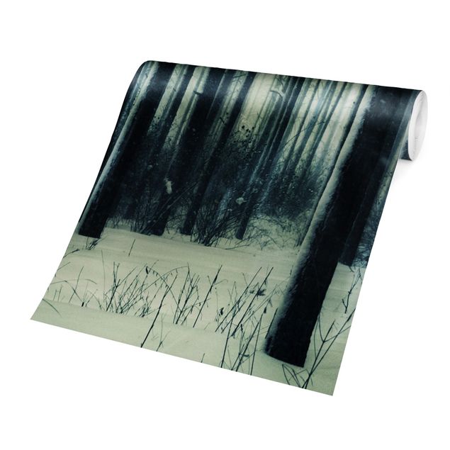Papel pintado fondo negro Mystical Winter Forest
