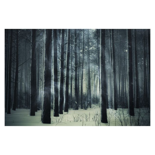 Papeles pintados Mystical Winter Forest