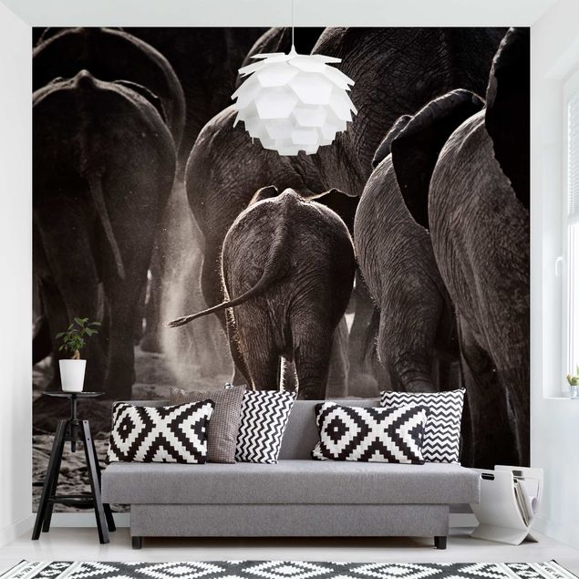 Papel pintado elefantes Going Home
