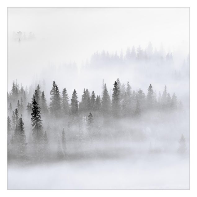 Fotomural - Fog In The Fir Forest Black And White