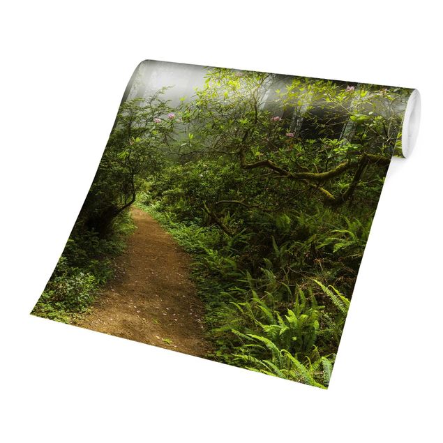 Papel pintado tonos verdes Misty Forest Path