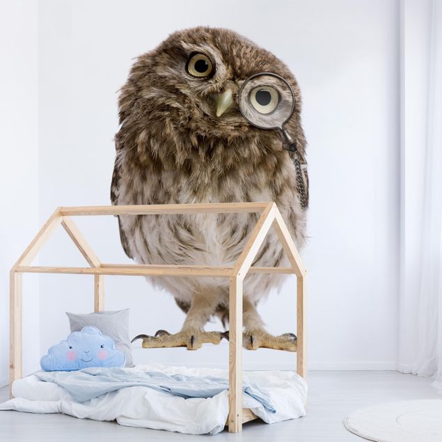 Decoración habitacion bebé Curious Owl