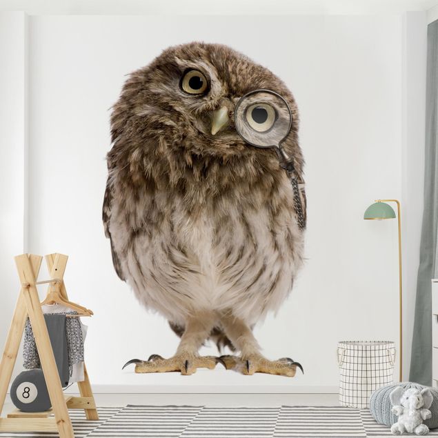Papel pintado aves Curious Owl