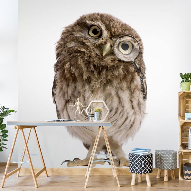 Papeles pintados modernos Curious Owl