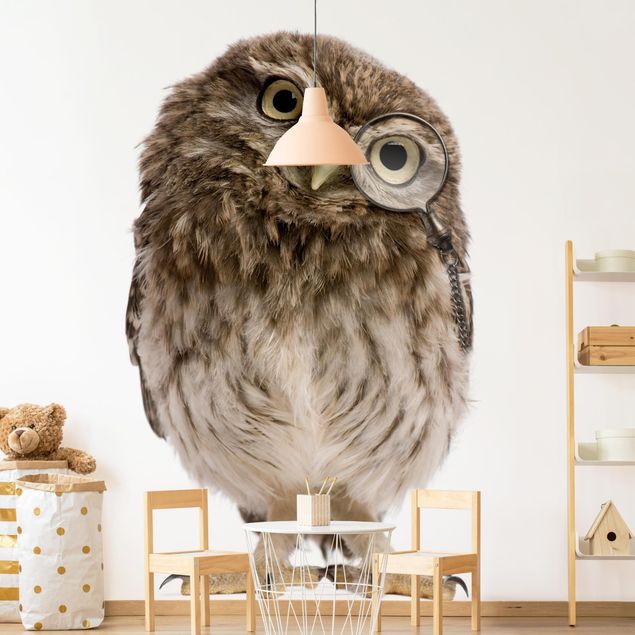 Papel pared animales Curious Owl