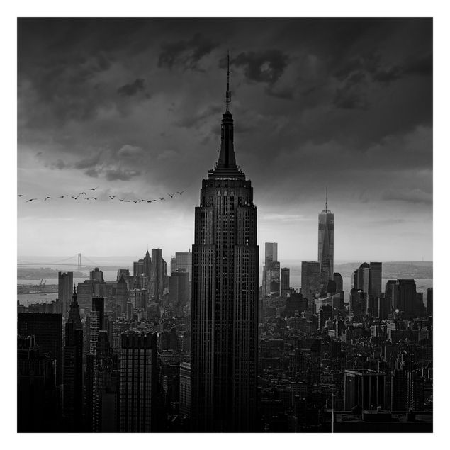 Papeles pintados New York Rockefeller View