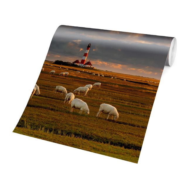 Papel pared paisaje North Sea Lighthouse With Flock Of Sheep