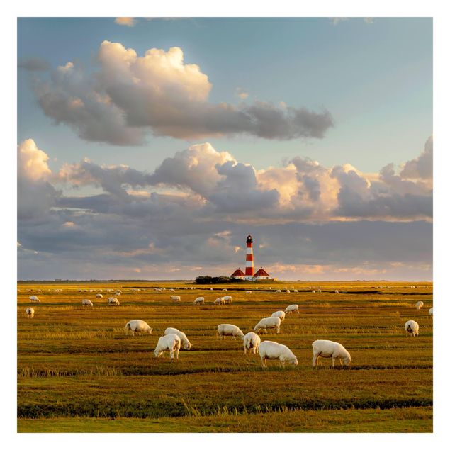 Papel pintado playa North Sea Lighthouse With Flock Of Sheep