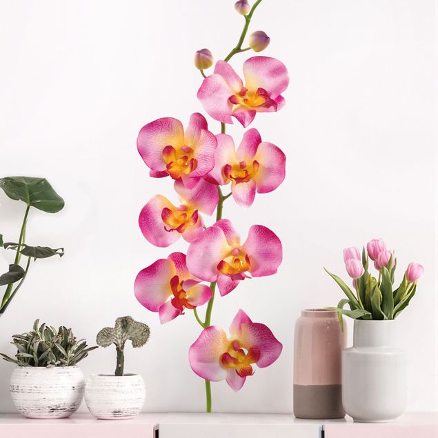 Vinilos de pared orquídeas No.177 Orchid Rose II