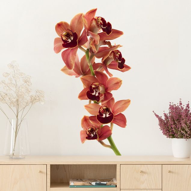 Vinilos de pared orquídeas No.180 Orchid White Red II