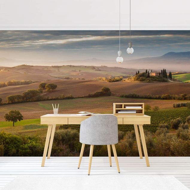 Papel pared paisaje Olive Grove In Tuscany