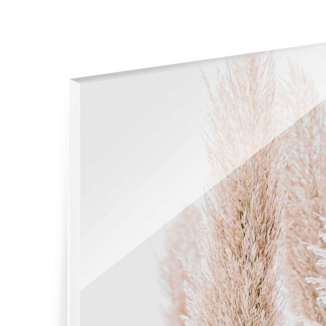 Tableros magnéticos de vidrio Pampas Grass In White Light