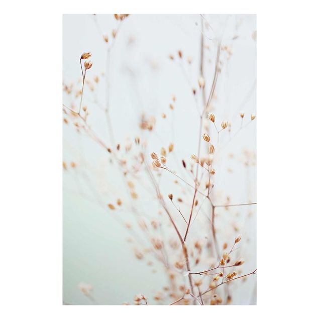 Cuadros de Monika Strigel Pastel Buds On Wild Flower Twig